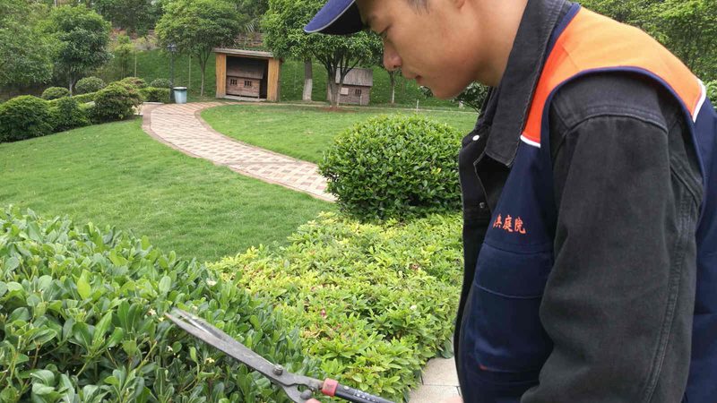河道边坡绿化人工费用：成本构成与优化策略**