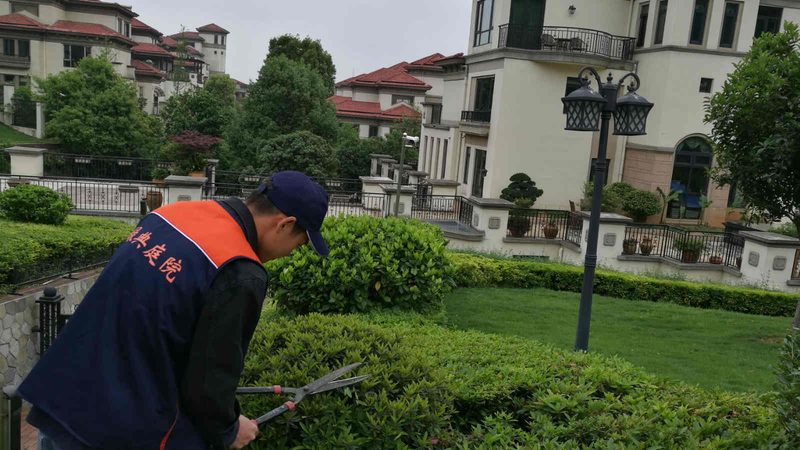 绿化资质办理：如何选择专业可靠的公司