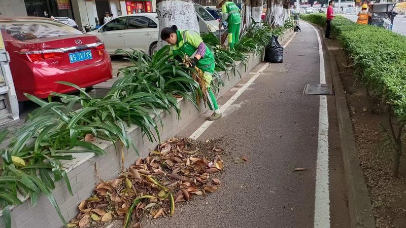 新办绿化资质代办公司