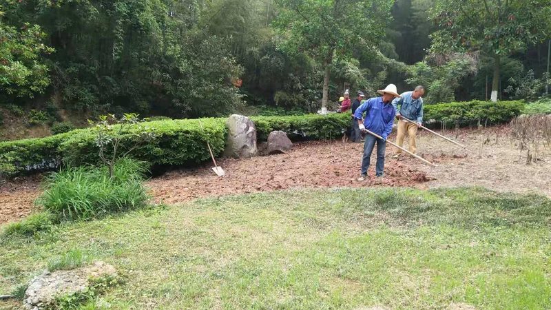 市政道路绿化养护投标文件：编制要点与注意事项