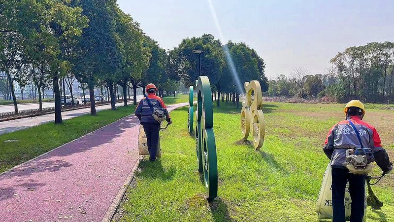 边坡绿化喷播：如何选择合适的方案与材料**