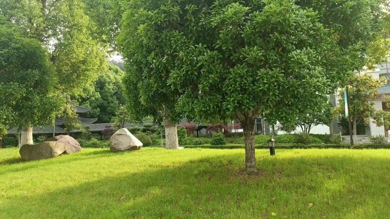 绿植租赁合同电子版模板：关键要素与注意事项**