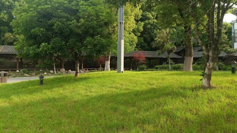 北京道路绿化设计规范：实施要点与合规指南