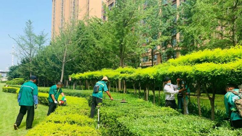 园林绿化养护：标准、规范与价格解析**